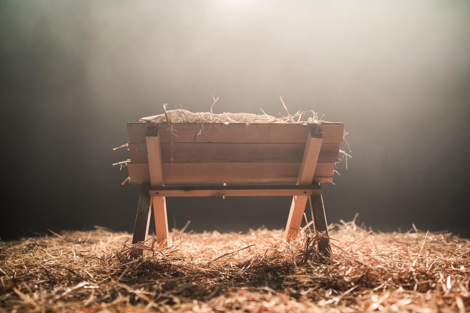 a-realistic-christmas-manger-surrounded-by-hay-wit-2021-08-30-08-56-02-utc